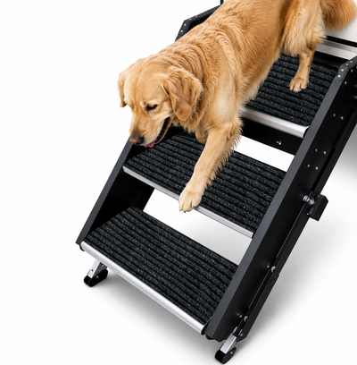 RUGUP